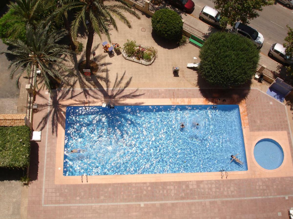 Moby Dick Daire Benidorm Dış mekan fotoğraf